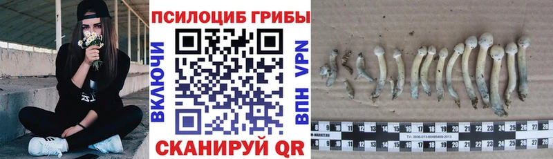 Галлюциногенные грибы GOLDEN TEACHER Пересвет